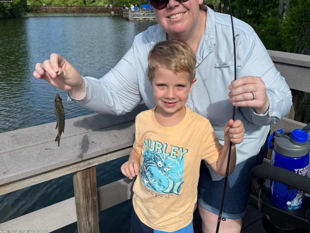 វិធីលេងសម្រាប់គ្រួសារ